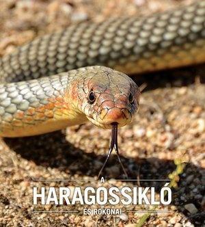 A HARAGOSSIKLÓ és rokonai - Állatvilág magazin