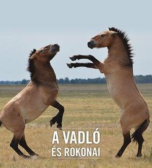 A VADLÓ és rokonai - Állatvilág magazin