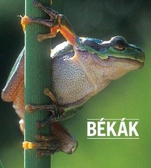 BÉKÁK     - Állatvilág magazin