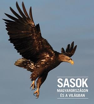 SASOK Magyarországon és a világban - Állatvilág magazin