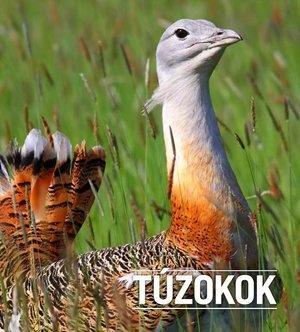 TÚZOKOK &nbsp; - Állatvilág magazin