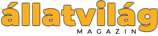 Állatvilág magazin